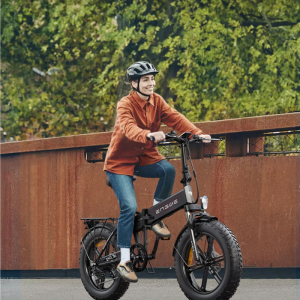 Bicikleta Elektrike me palosje 750w (8)