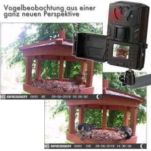 Kamera SFC-1 per zogj dhe shpende 1