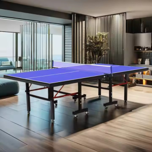 Tavolinë pingpongu (2)
