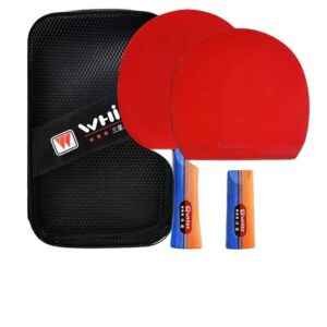 set-raketa-dysh-pingpong-me-cante