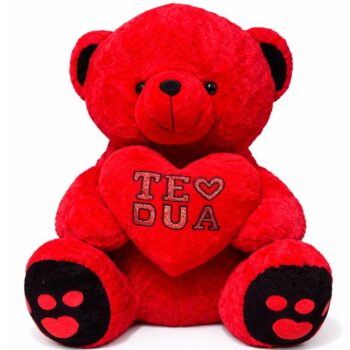 arush per shenvalentinin