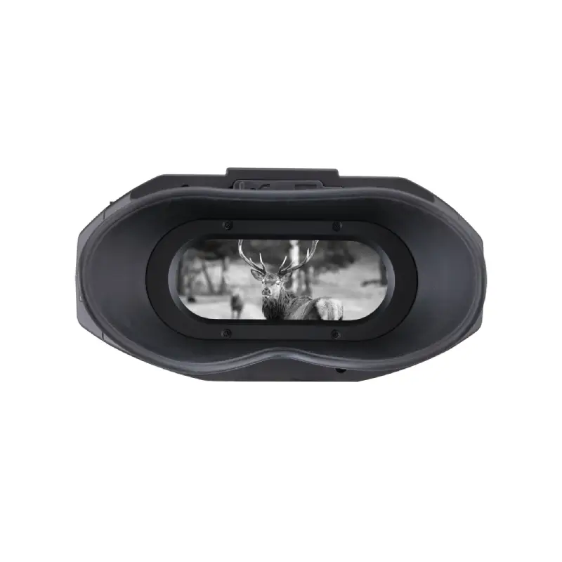 dylbi per gjueti dylbi night vision
